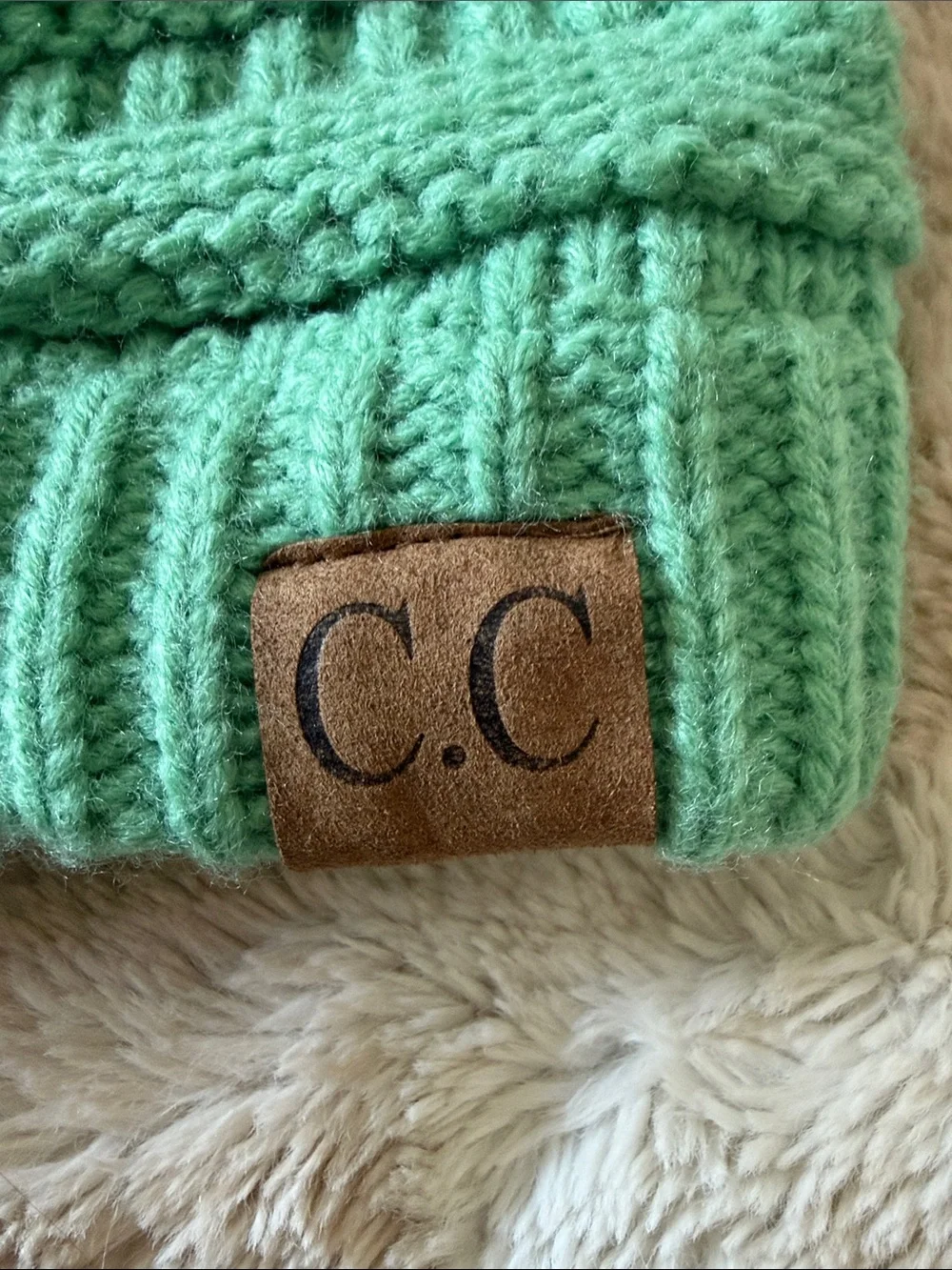C.C Mint Knit Textured Beanie